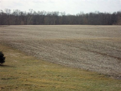 Property photo 2 - 66 Acres Offered in 3 Tracts